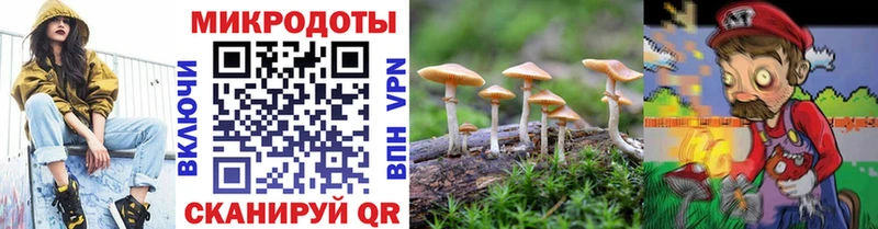 Псилоцибиновые грибы Psilocybe  Усть-Кут 