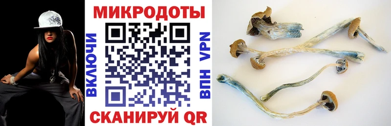 Галлюциногенные грибы прущие грибы Усть-Кут